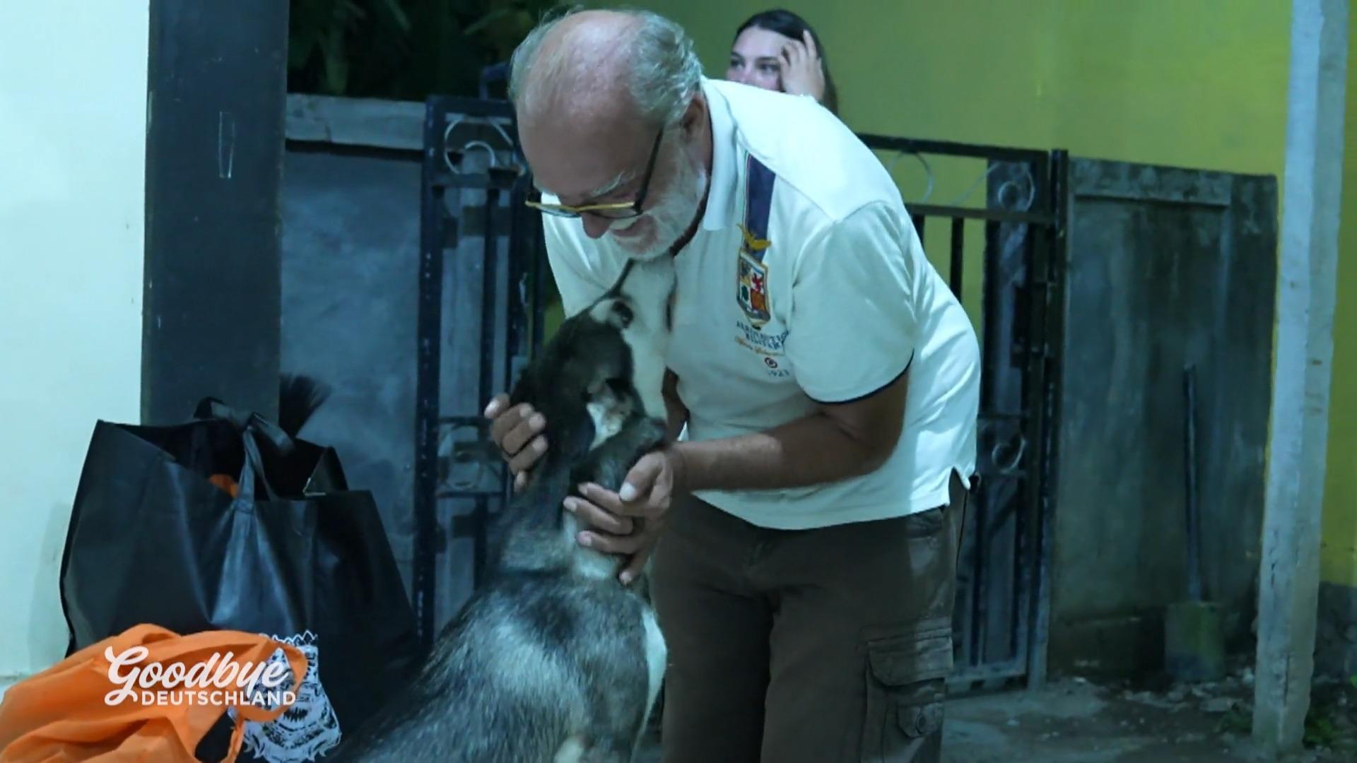 Wiedersehen mit seinem Hund