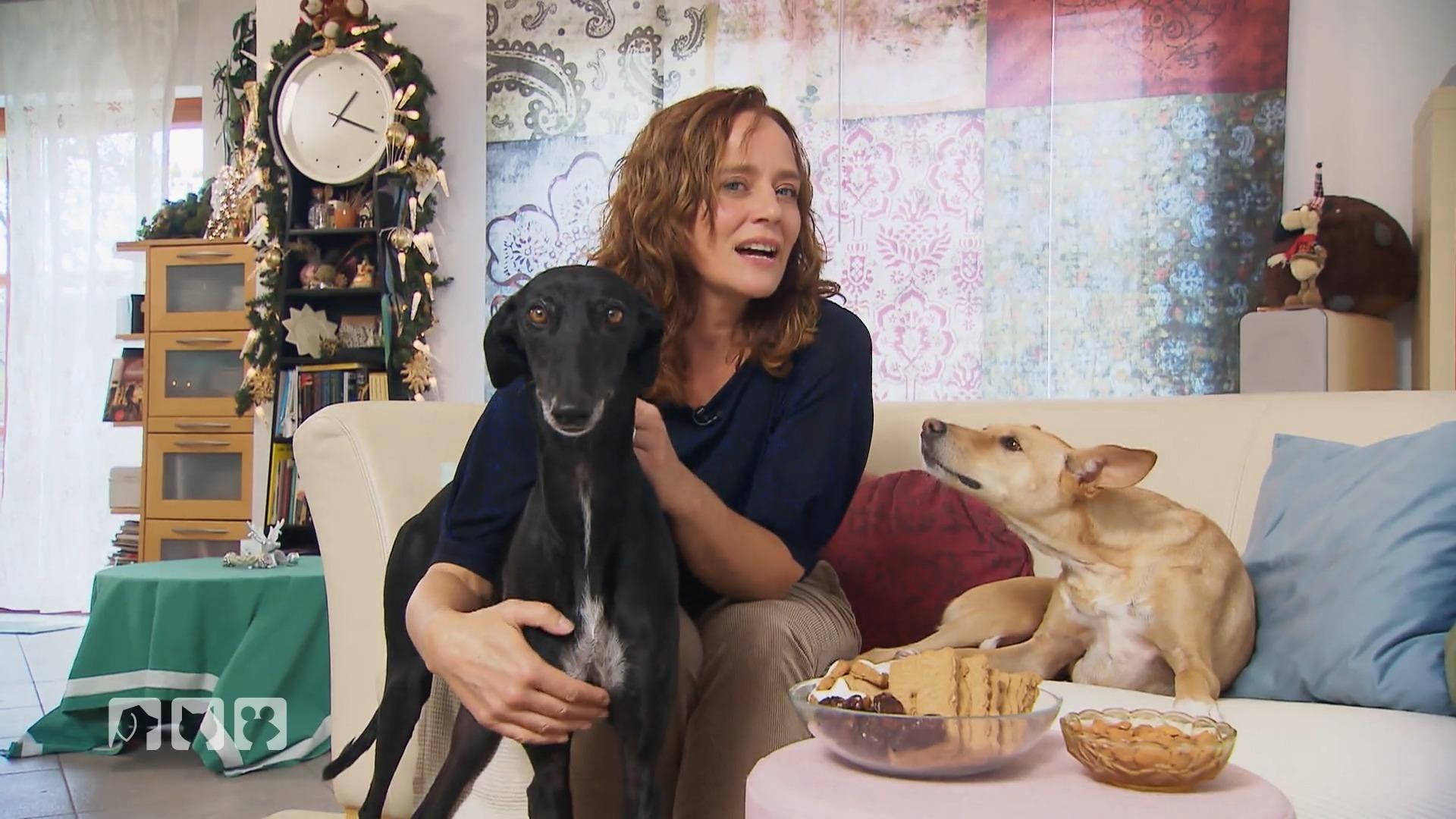 Kate Kitchenham gibt Tipps für ein Weihnachtsdinner