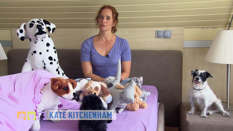 Katzen und Hunde im Bett?