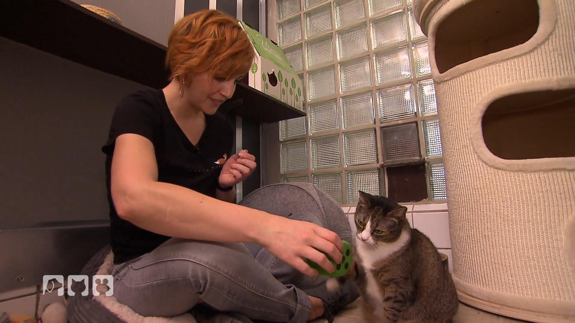 Katzenpsychologin Jasmin Lindner hilft verstoßenen Katzen