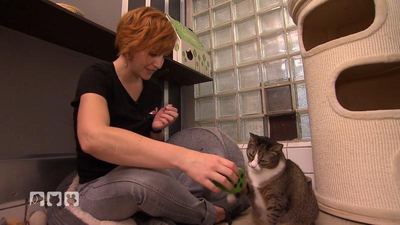 Katzenpsychologin Jasmin Lindner hilft verstoßenen Katzen