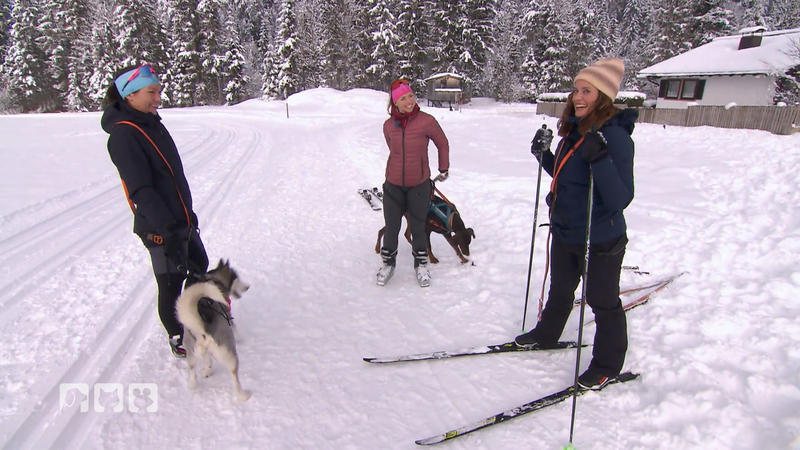Was muss man beim Skifahren mit Hunden beachten?