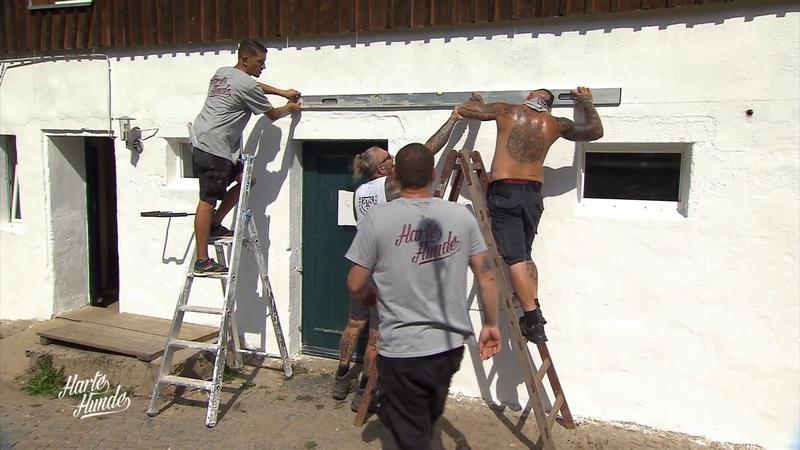Rettung für den maroden Tierschutzhof