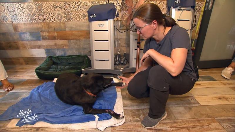Annett startet Rettungsaktion in Polen