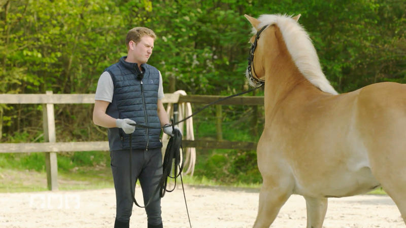 Nemo liefert sich ein Battle mit Matthes