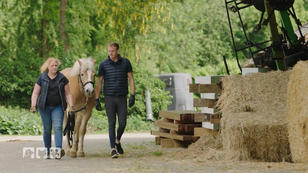 Agieren statt Schockstarre - Nemo braucht Grenzen