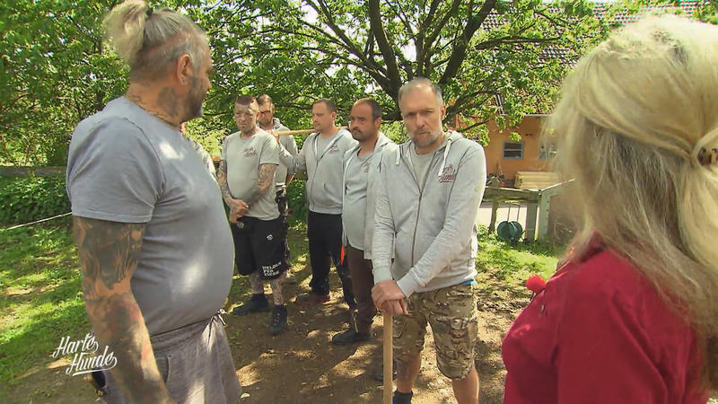 Die Jungs nehmen sich die Weide vor