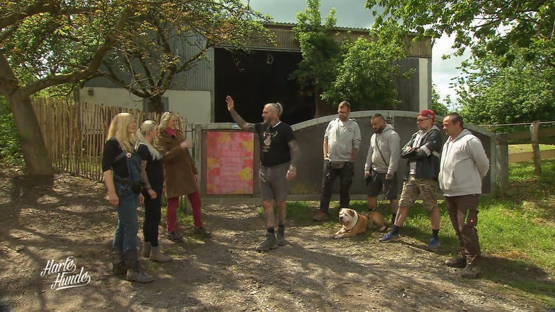 Die harten Hunde verabschieden sich