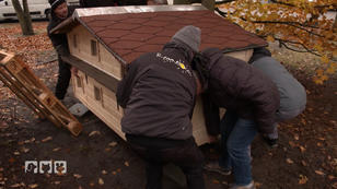 Für die Wildkatzen gibt es ein neues Katzenhaus