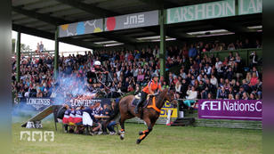 Hier wird man von Pferden gezogen