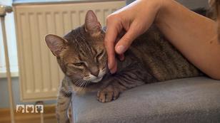 Was Sie beim Anfassen beachten sollten