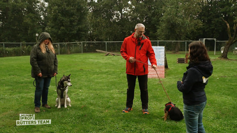 Angespannte Situation zwischen Luna und Kimba