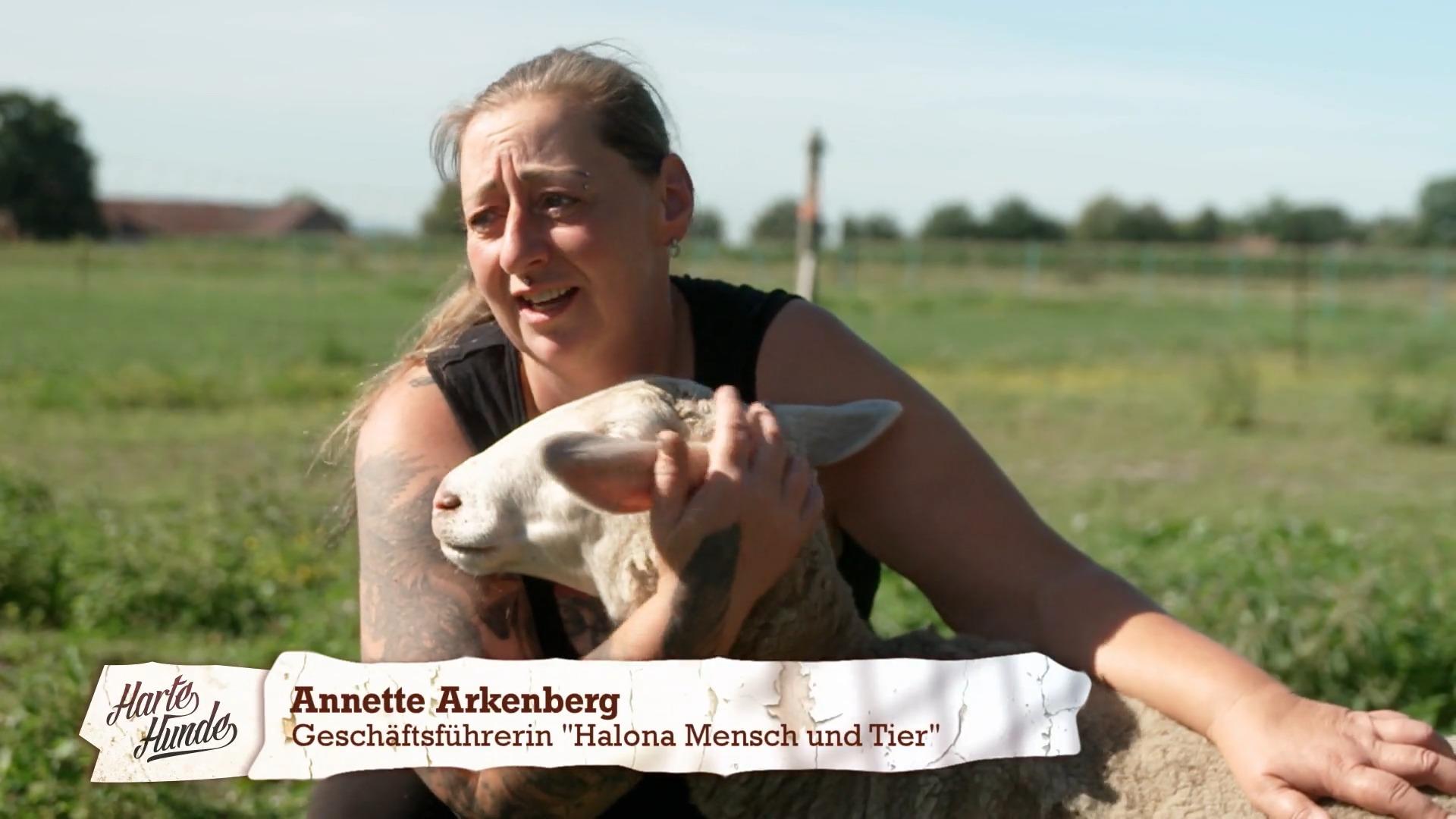Tierschutzverein kämpft für pflegeintensive Tiere und Mensch