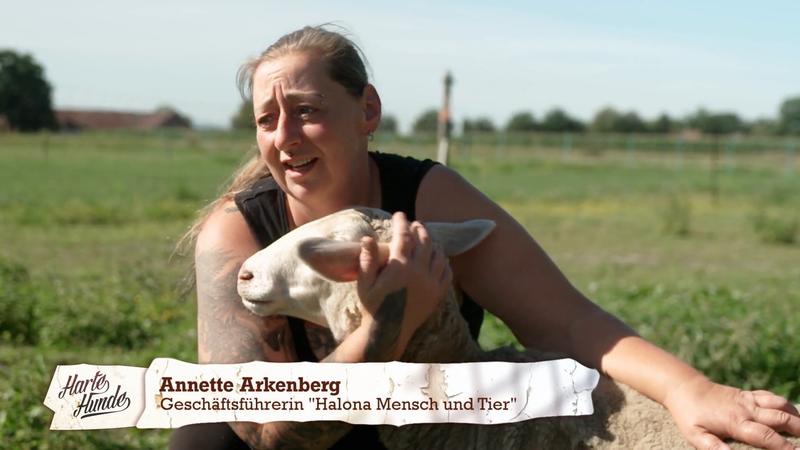Tierschutzverein kämpft für pflegeintensive Tiere und Mensch