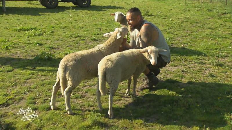 Ralf Seeger und sein Team packen an
