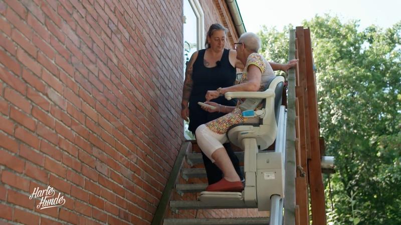 Wie Tiere den Menschen helfen, mit Krankheiten umzugehen