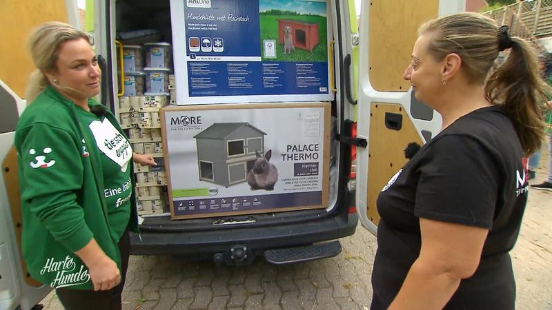 Überraschung aus dem Fressnapf-Wagen