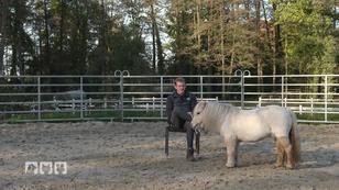 Pferdetrainer Matthes Röckener im Einsatz