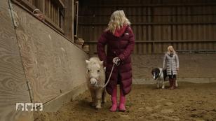 Sind Harry und Honeybee bereit fürs Altenheim?