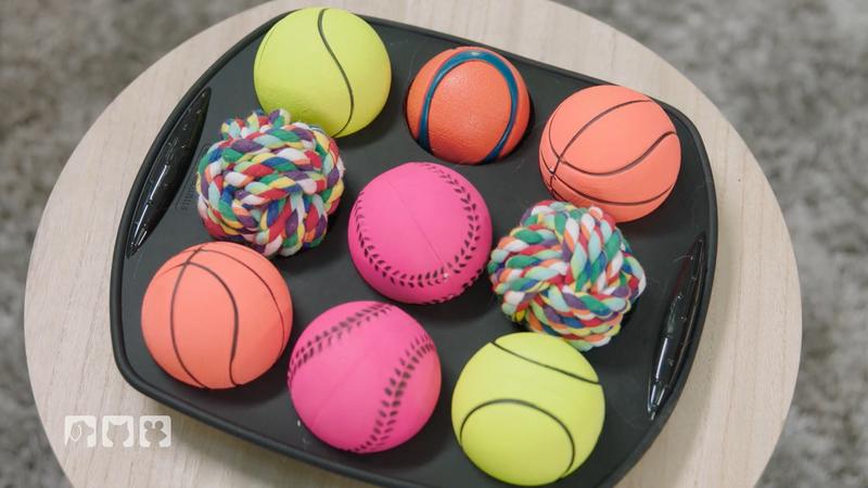 Mit Bällen und Muffinform zur neuen Herausforderung