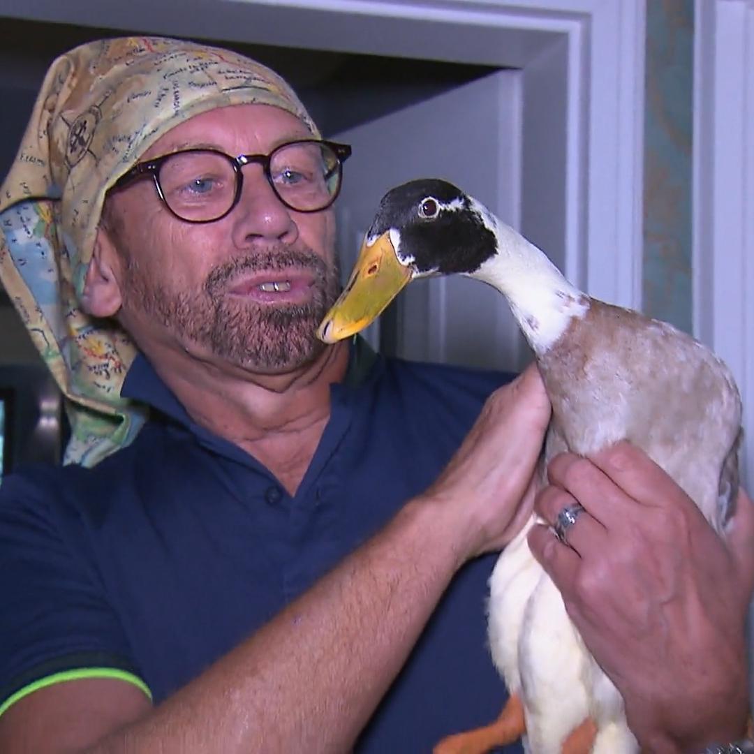 Franjo setzt auf Federvieh