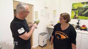 Chamäleon Stevie zieht aus