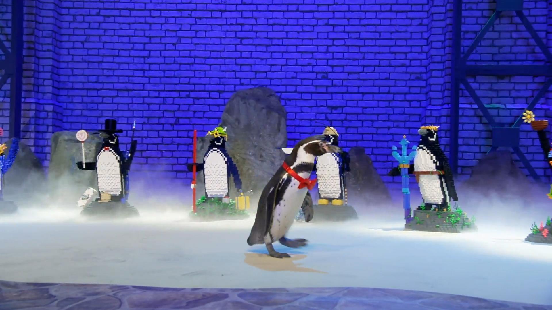 Pinguin Chester entscheidet sich
