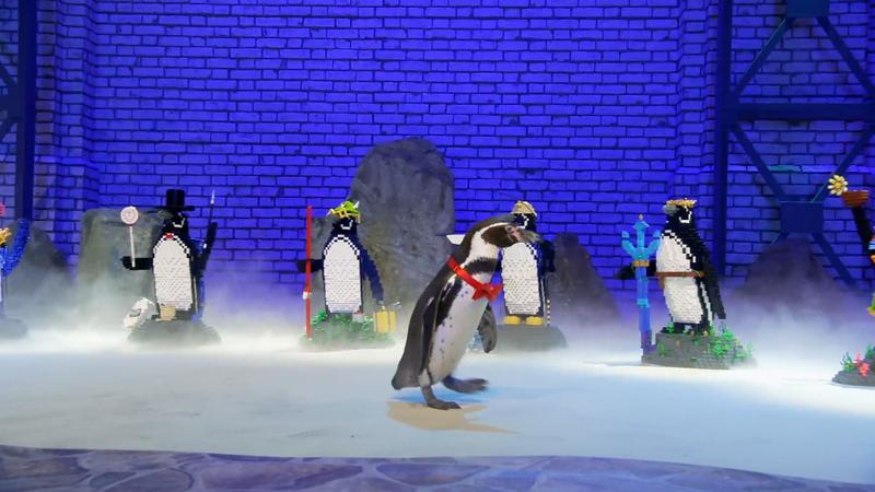 Pinguin Chester entscheidet sich