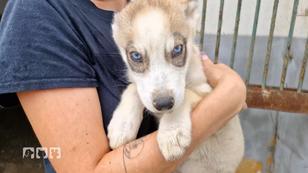 Vom Schicksal zur zweiten Chance