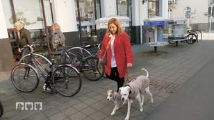 Powerpaket Luna entdeckt die Stadt