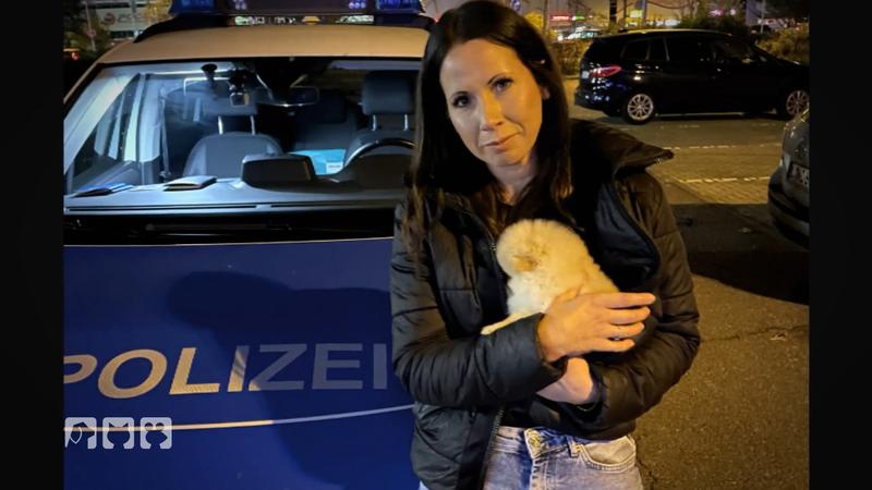 Jana Hoger im Kampf gegen den illegalen Welpenhandel