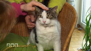 Tiernotdienst eilt zu Hilfe