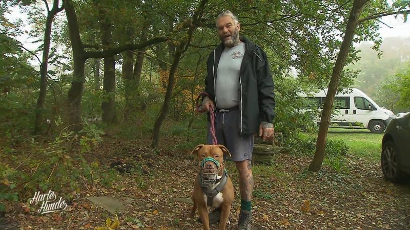 Der Spaziergang mit den problematischen Hunden