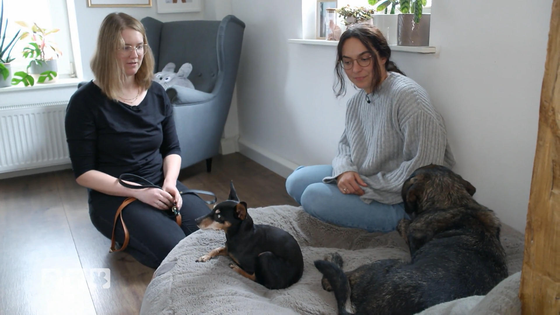 Für Nut gibt es einige Interessenten