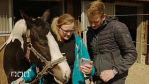 Stute Grace macht Besitzerin Ann-Kathrin Angst