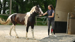 Bei Stress will Grace ausschlagen und abhauen