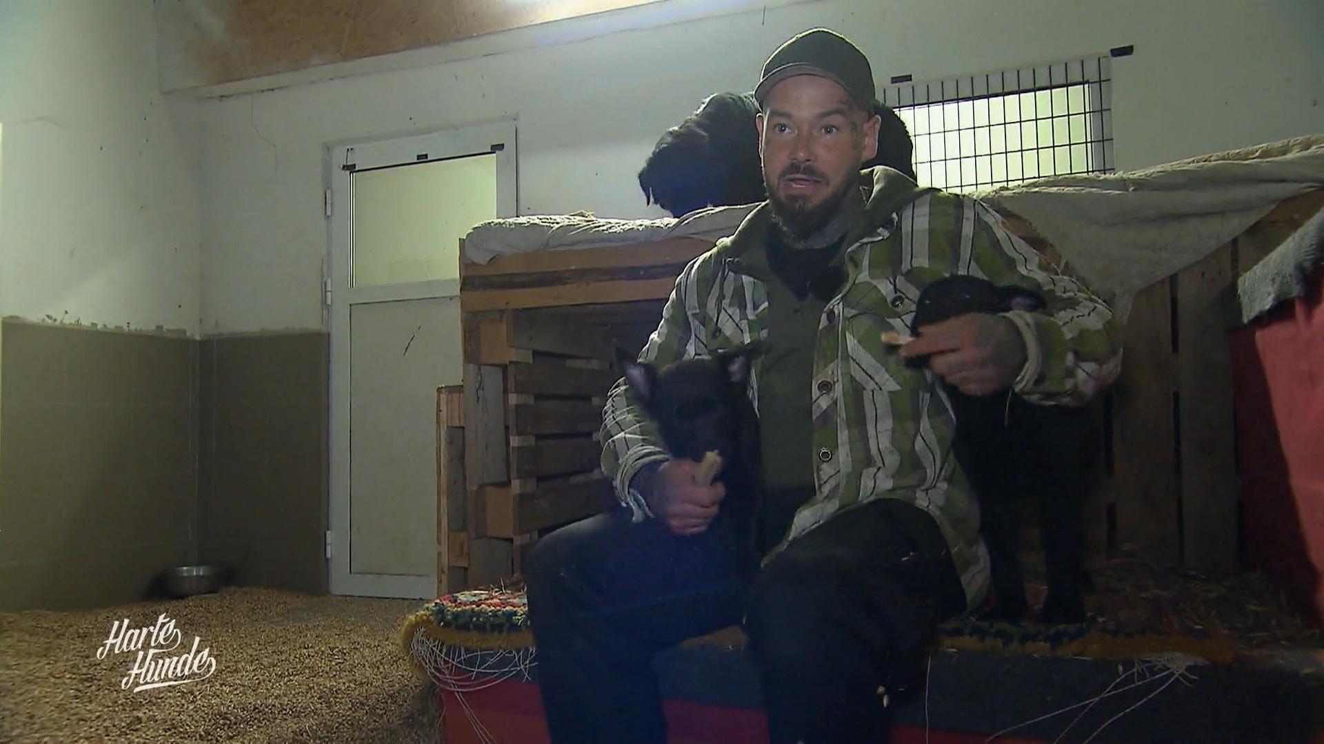Ralf und Steve im Einsatz für 75 Tiere