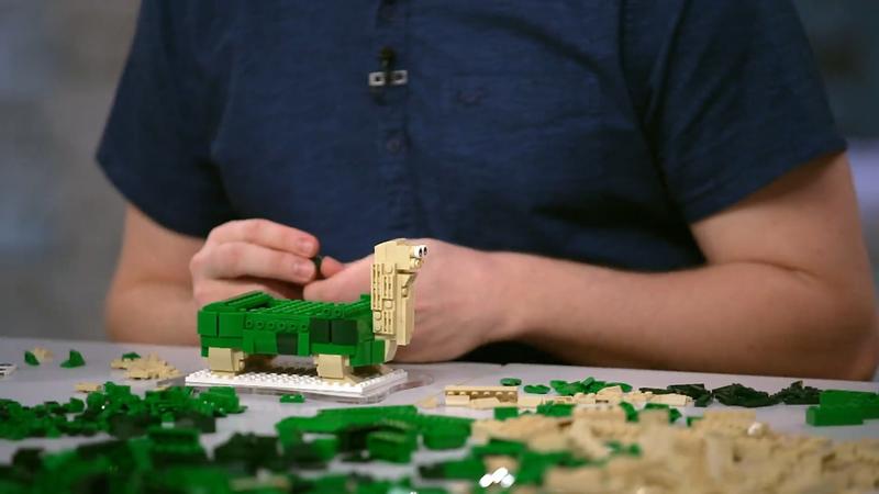 Welche organischen Meisterwerke bauen die Teams?