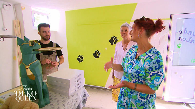 Anette richtet ihren Hundesalon neu ein