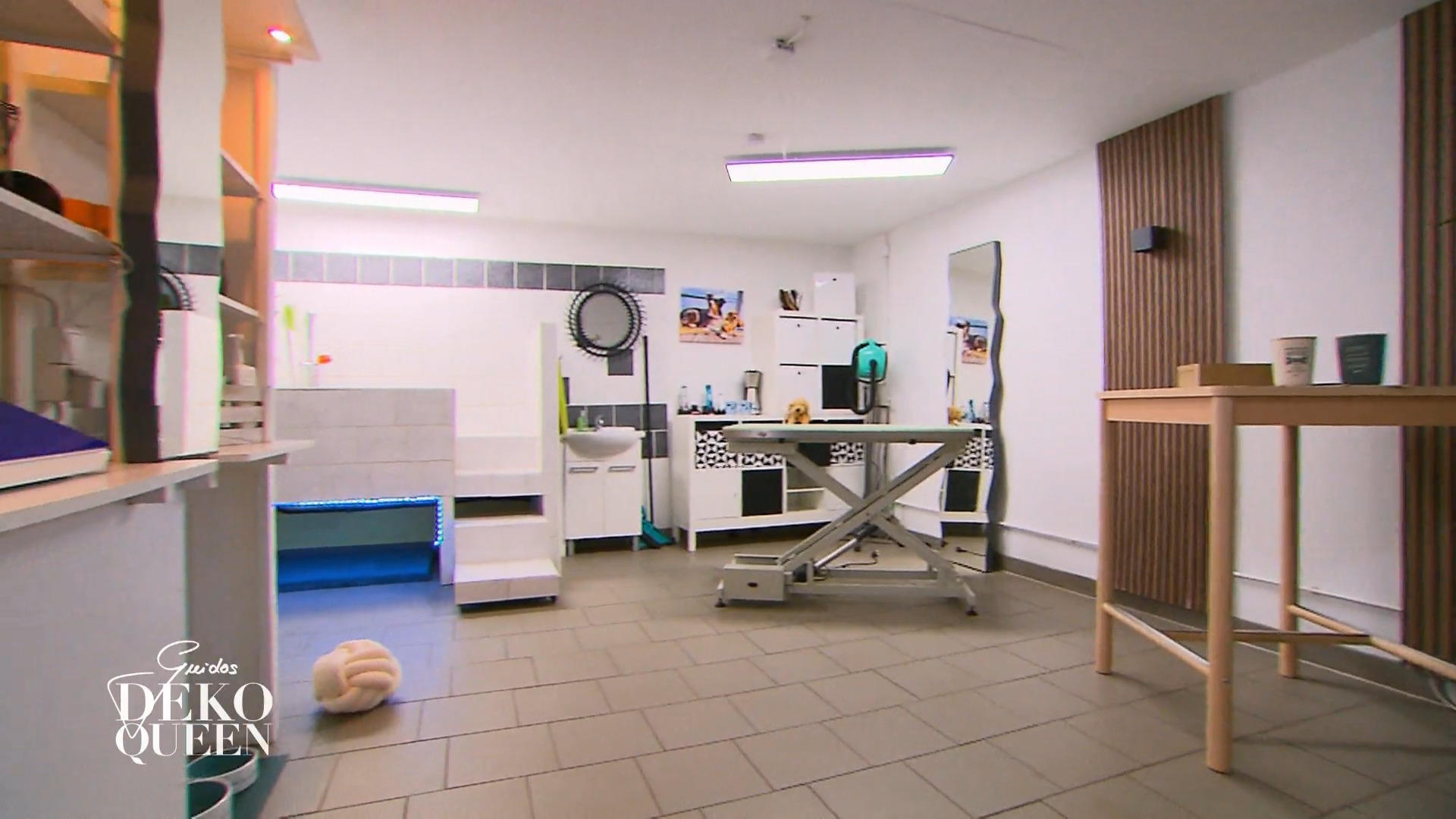 Wie kommt der neue Arbeitsraum der Hundefriseurin an?