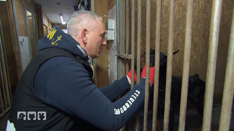 Extreme Baustellen bei Hunde SOS Oberberg