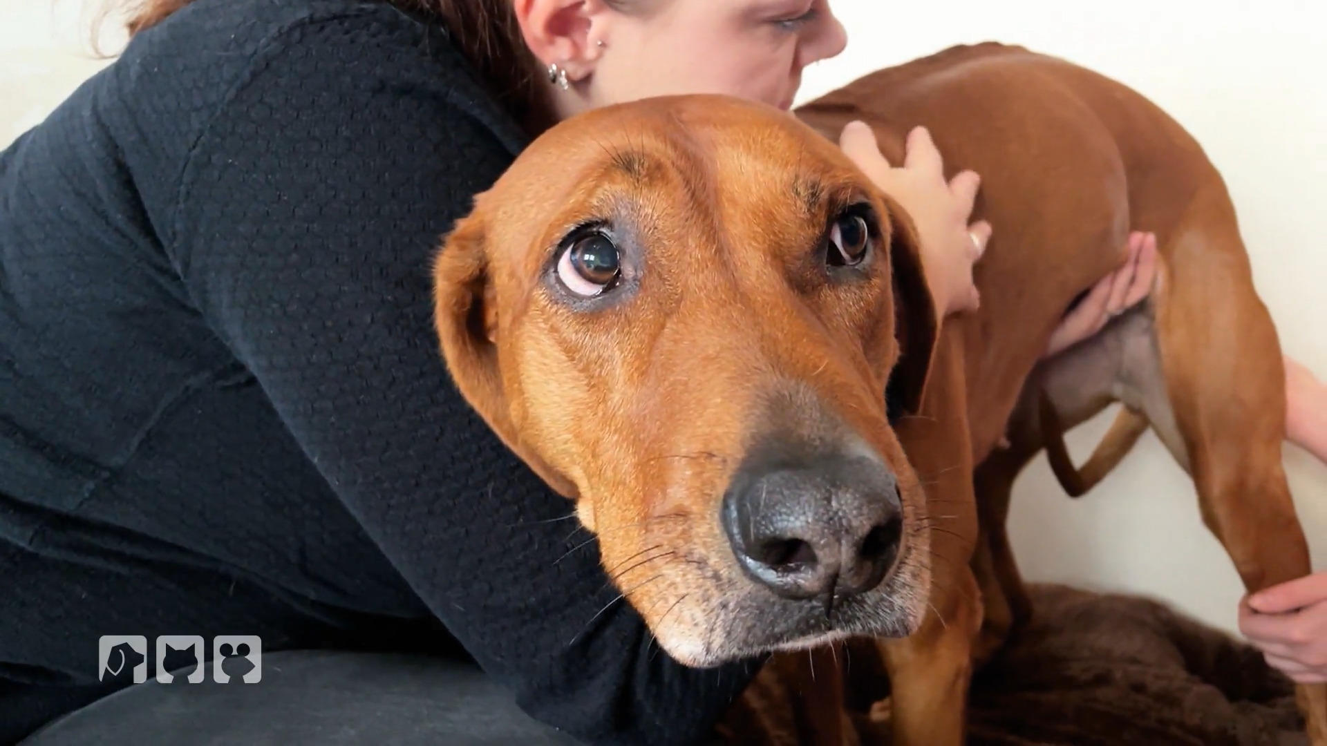 Was steckt hinter Ellis schlappen Zustand?