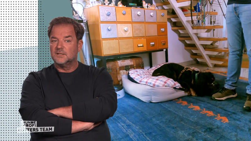 Wann empfindet Lenny Besucher als Bedrohung?