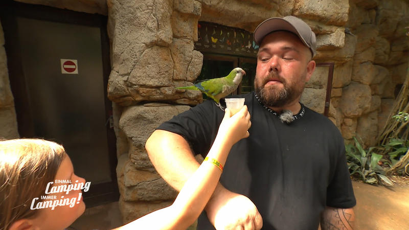 Es wird Tierisch wild im Vogelpark