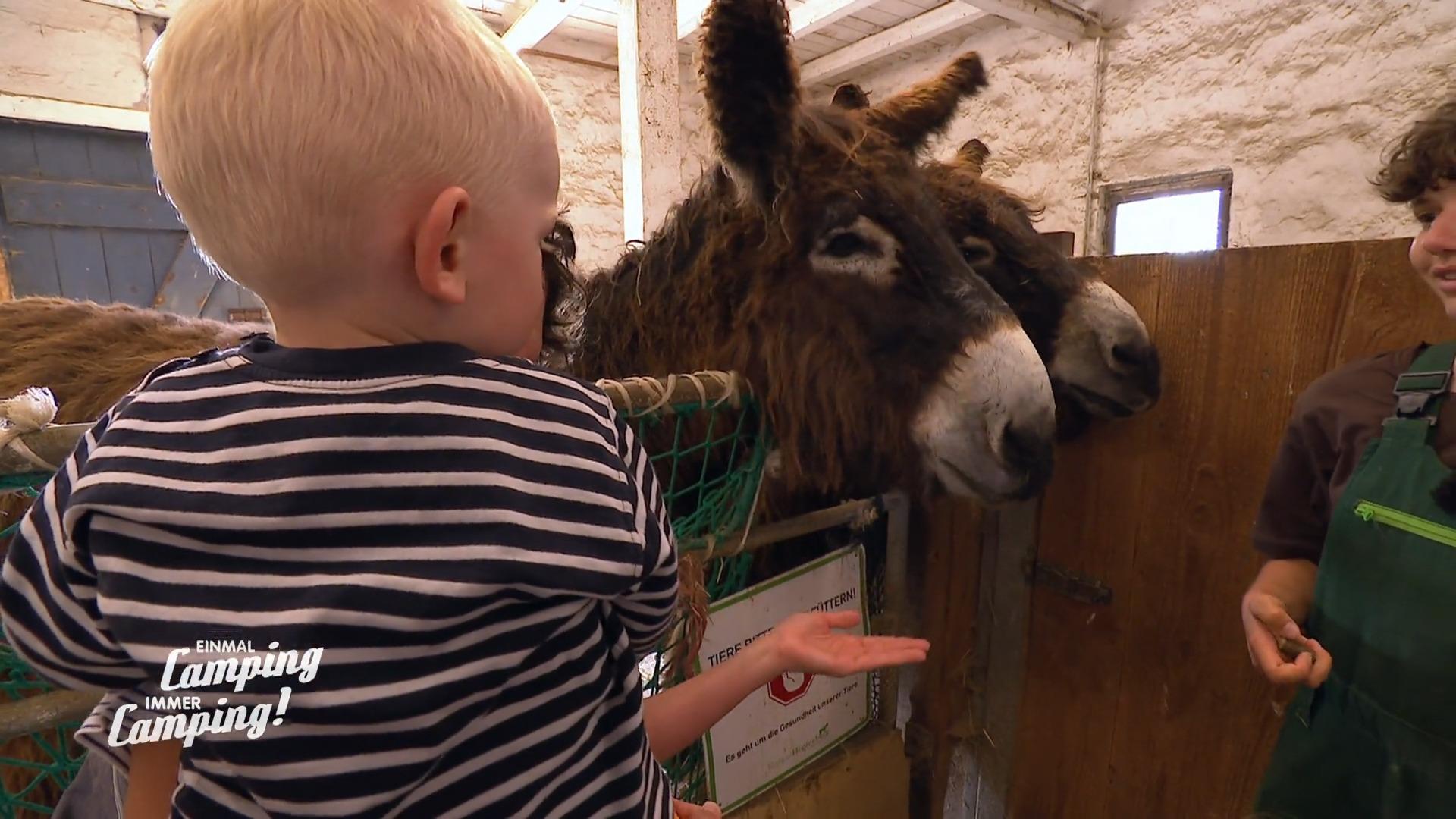 Daniela. Marcel und Moritz erleben die Tiere hautnah