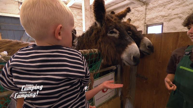 Daniela. Marcel und Moritz erleben die Tiere hautnah