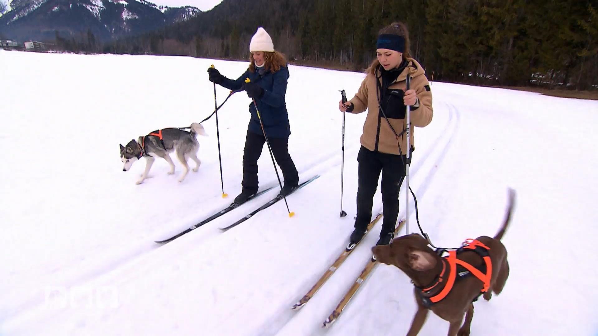 Kate Kitchenham macht den Skilanglauf-Test mit Hund