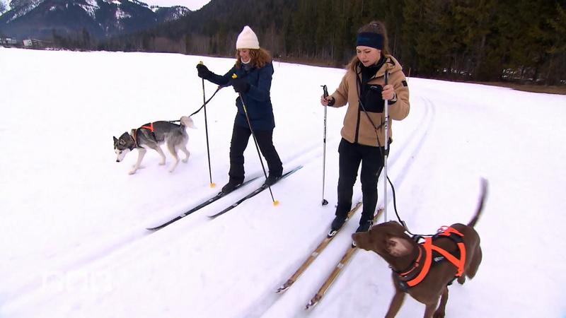 Kate Kitchenham macht den Skilanglauf-Test mit Hund