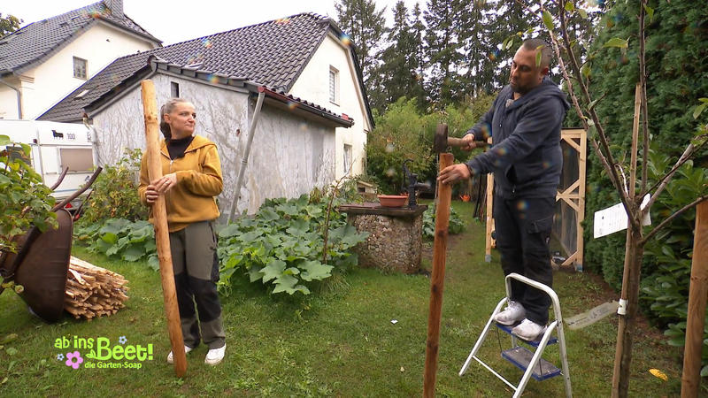 Noch mehr Fläche für die Hühnchen