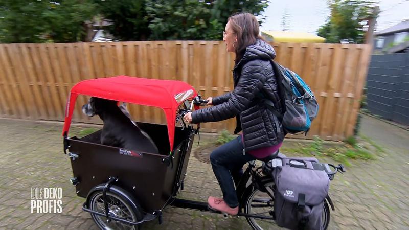 Eric startet das Projekt "Dschungel-Zimmer"